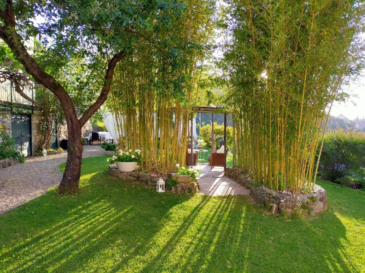 Agriturismo Casa Olivieri 东塞斯特里 外观 照片